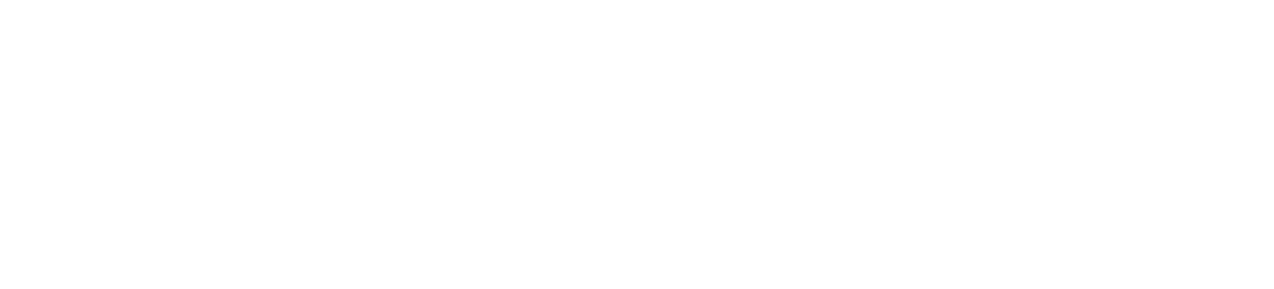 Stripe Partners Logo